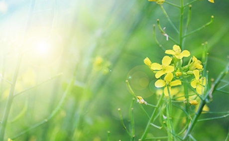 河南工业大学2020年专升本分数线是多少?(图1) 河南工业大学2020年专升本分数线是多少?(图1)