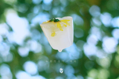 河南专升本报成考是否可以跨专业报考(图1) 河南专升本报成考是否可以跨专业报考(图1)