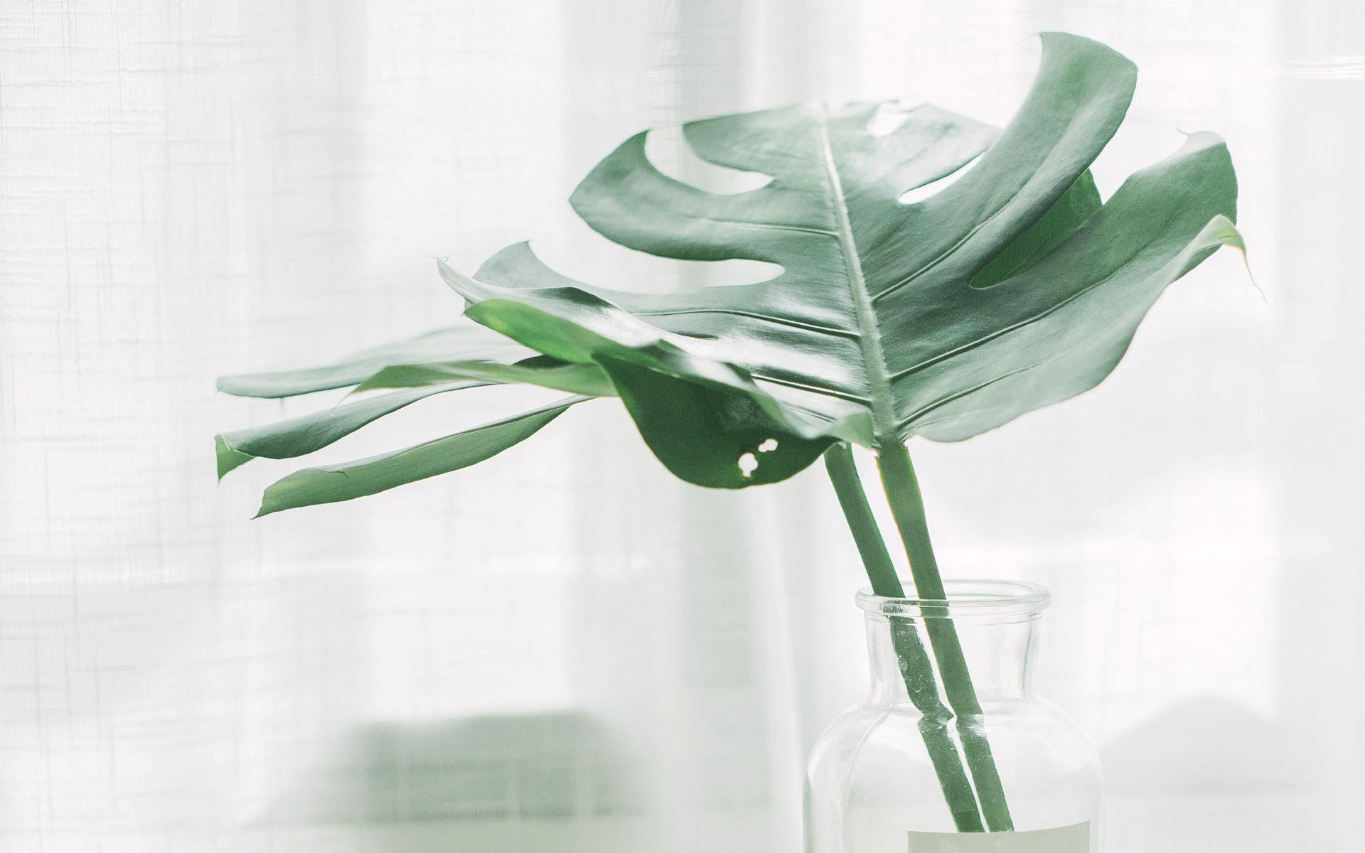 初中毕业可以报考河南开封成人高考吗？(图1)